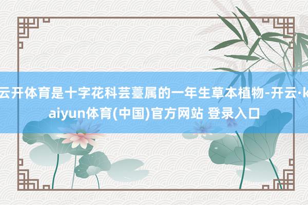 云开体育是十字花科芸薹属的一年生草本植物-开云·kaiyun体育(中国)官方网站 登录入口