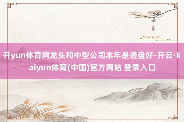 开yun体育网龙头和中型公司本年是通盘好-开云·kaiyun体育(中国)官方网站 登录入口